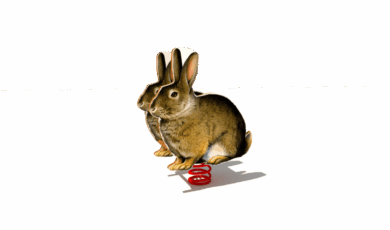 Houpačka na houpací pružině zajíc se stěnou, vyrobená z akátu a dubu.